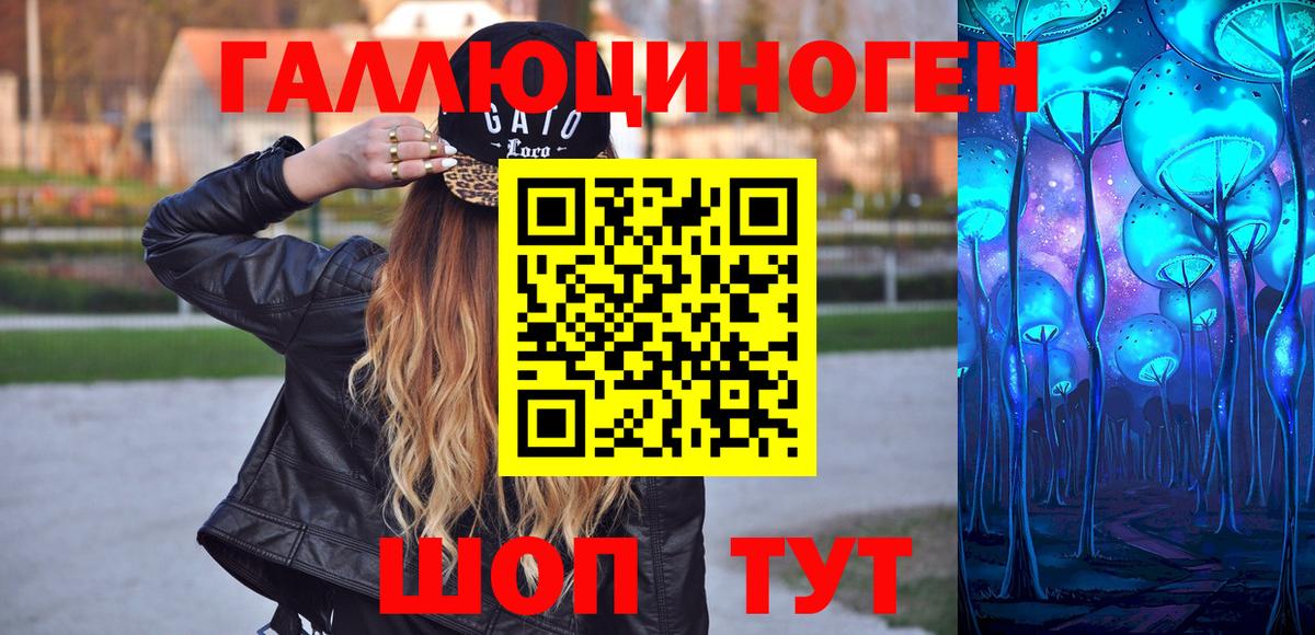 Славгород  Псилоцибиновые грибы Psilocybe  Вход с VPN 